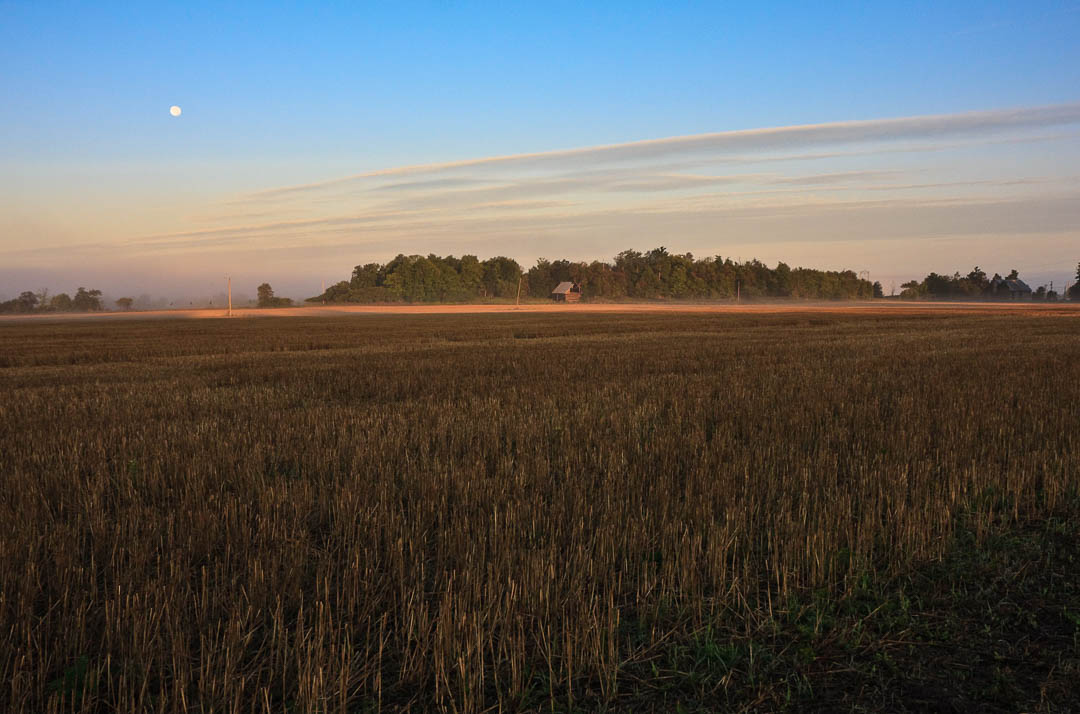 Fine Art Rural Landscapes