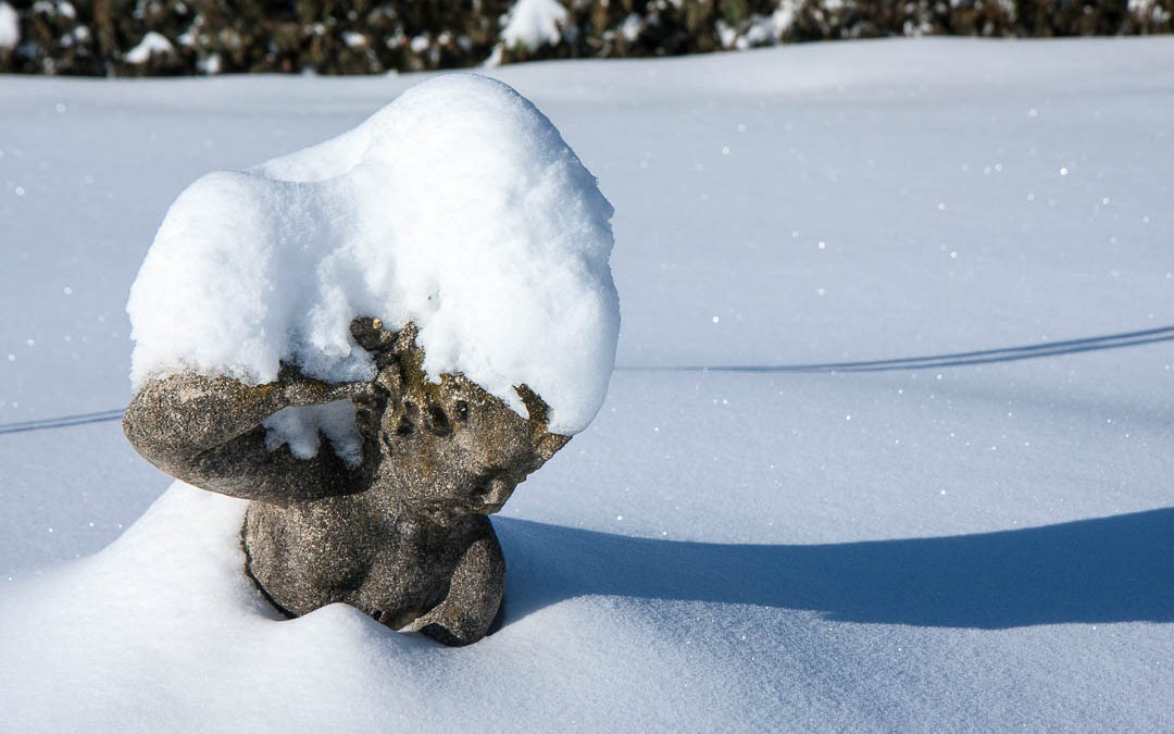 Snowy Statue